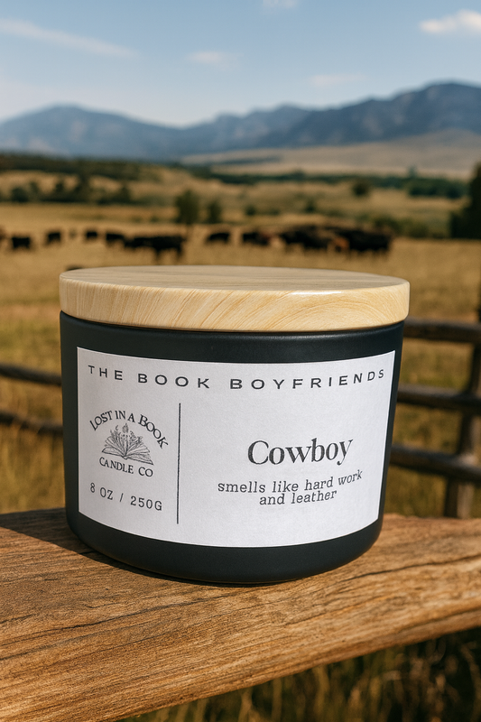 The Book Boyfriends: Cowboy