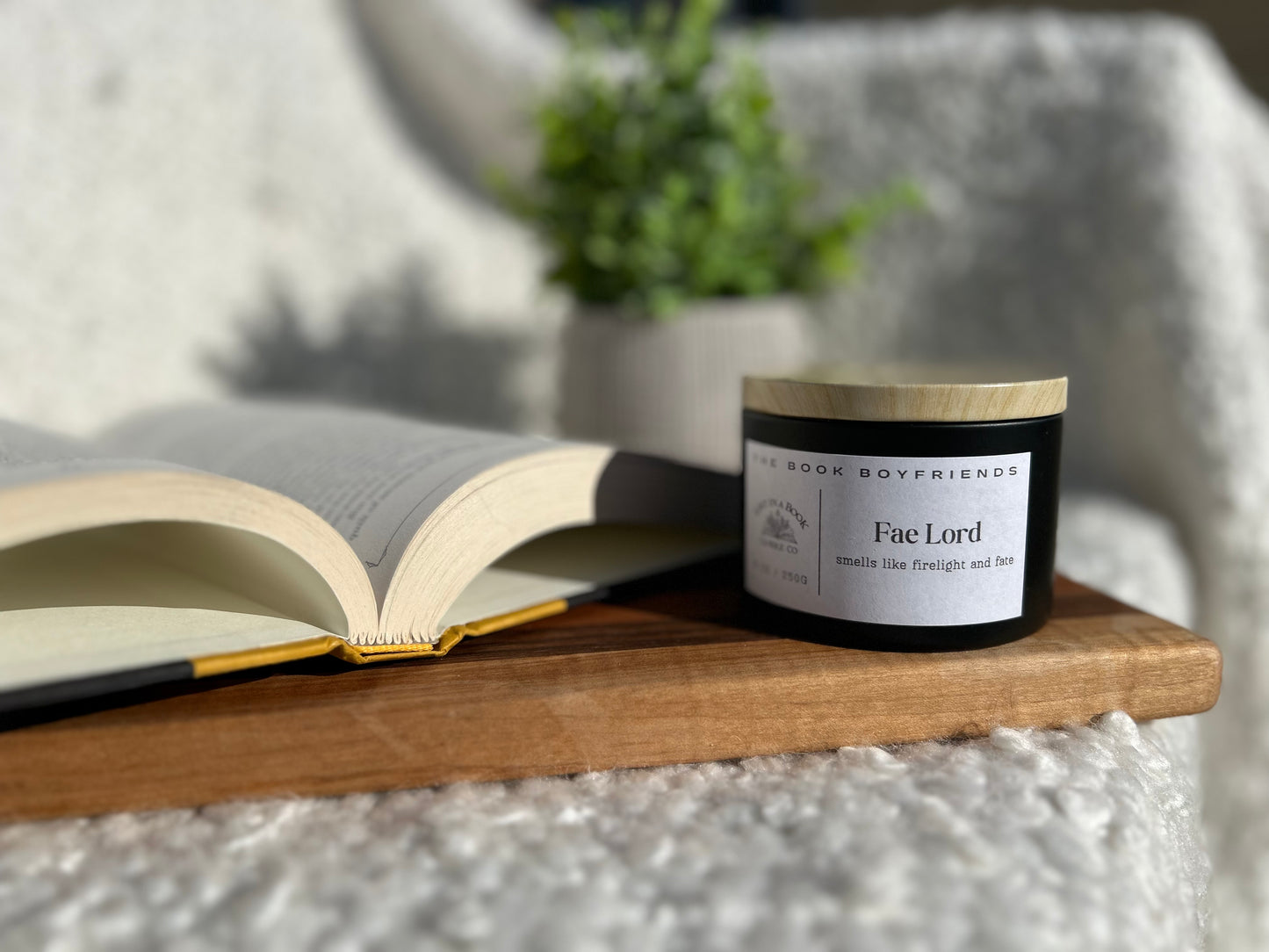 The Book Boyfriend: Fae Lord