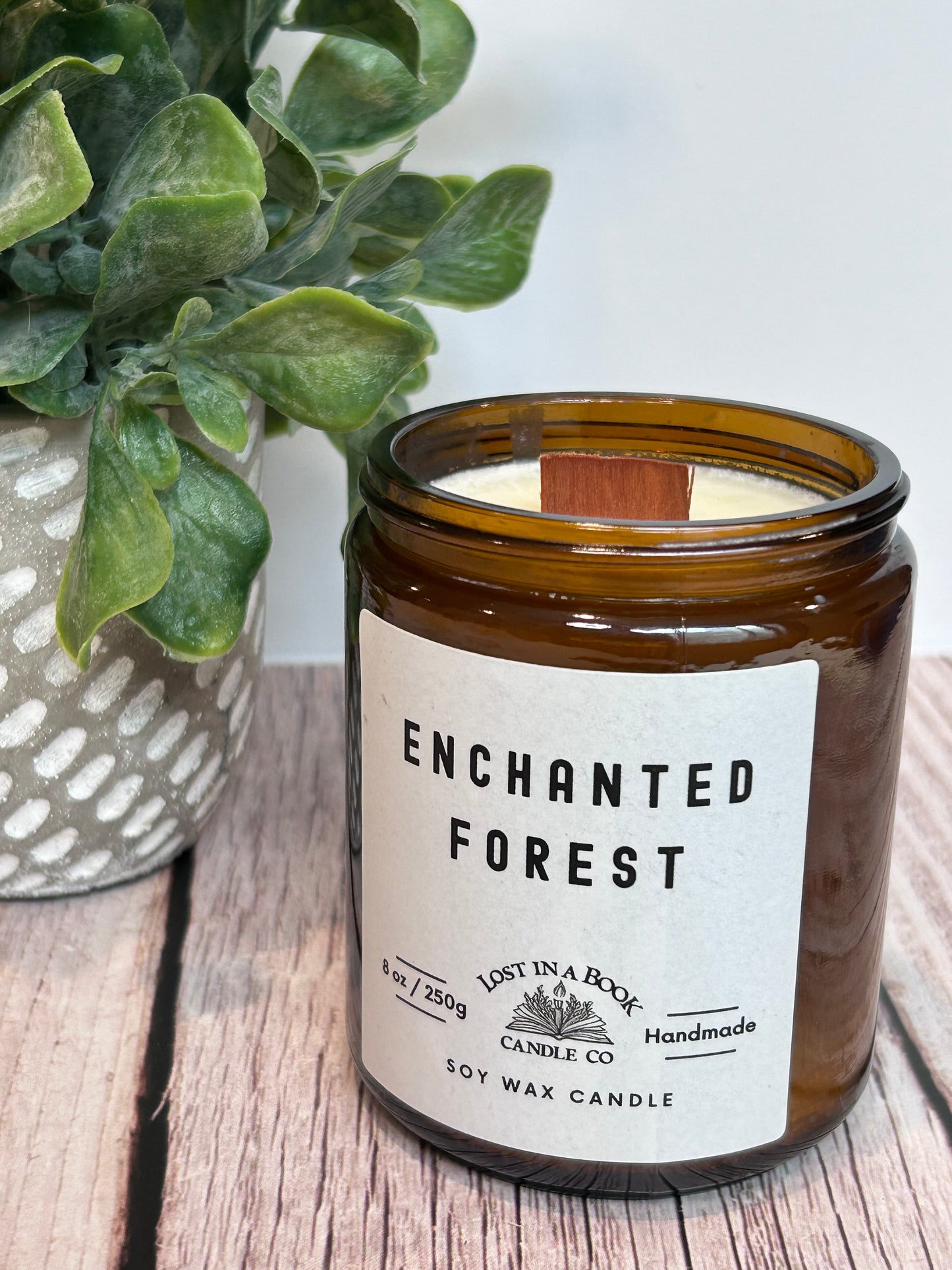 Take Me There: Enchanted Forest