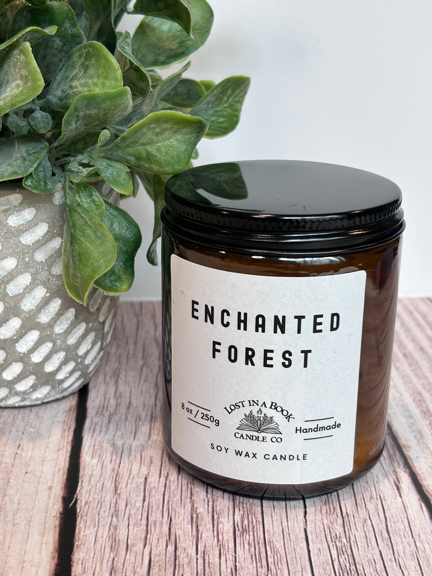 Take Me There: Enchanted Forest