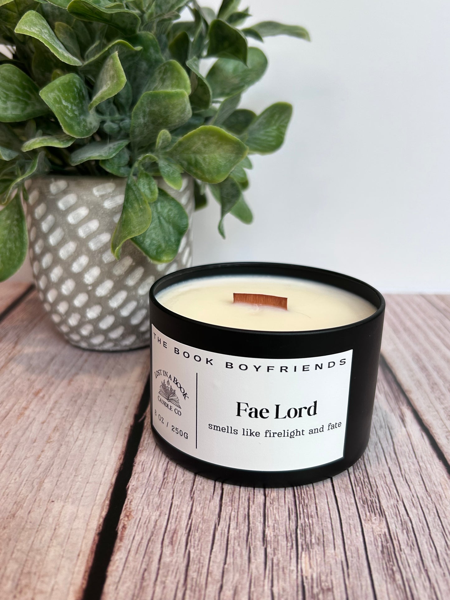 The Book Boyfriend: Fae Lord